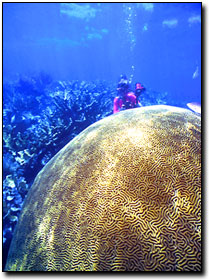 Photo courtesy of: Monroe County Tourist Development Council