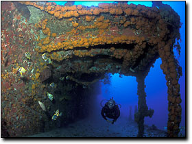 Photo courtesy of: Bill Harrigan