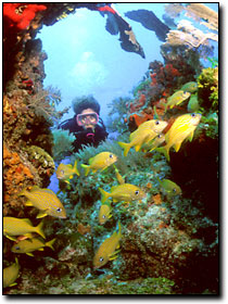 Photo courtesy of: Monroe County Tourist Development Council