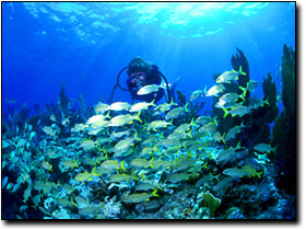 Photo courtesy of: Monroe County Tourist Development Council